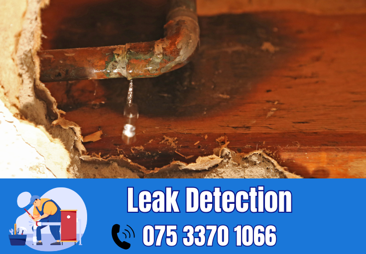 leak detection Aylesford