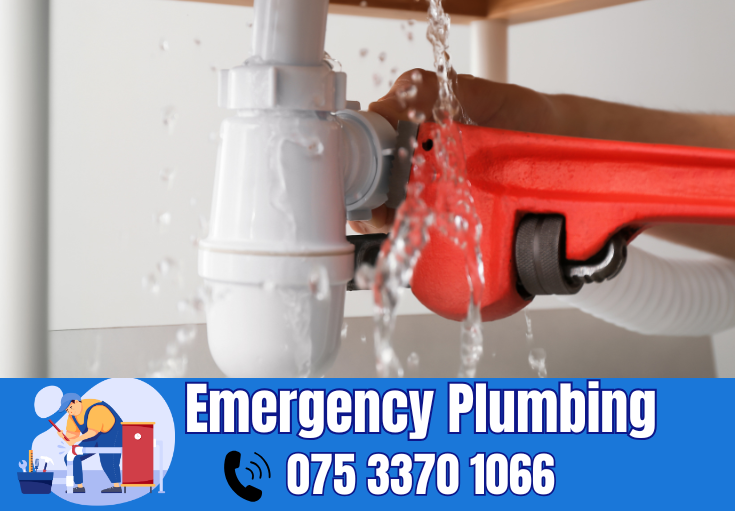  plumber Ditton