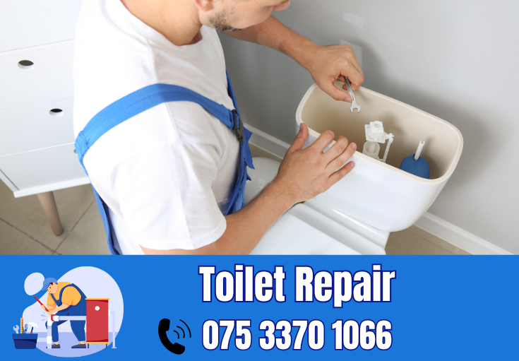toilet repair Aylesford
